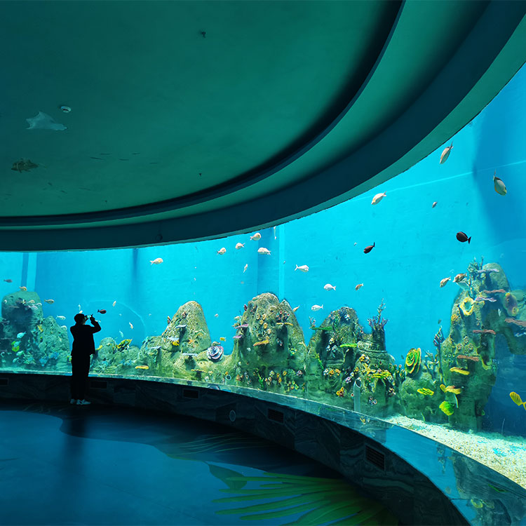 Acrylic window aquarium - factory
