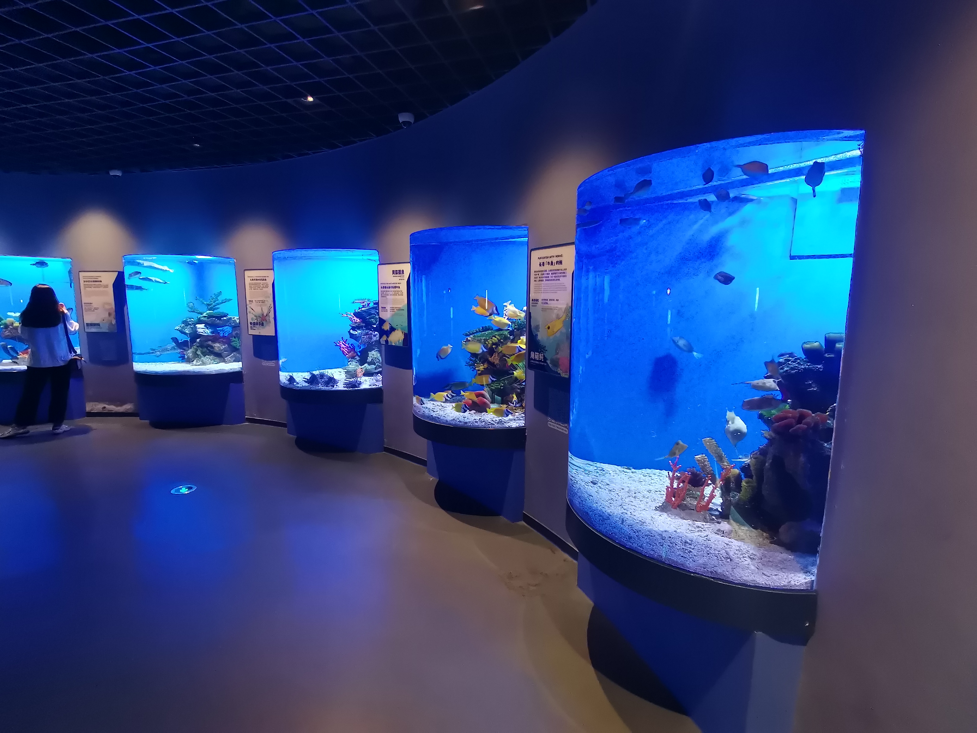 Custom acrylic fish tank - LEYU 