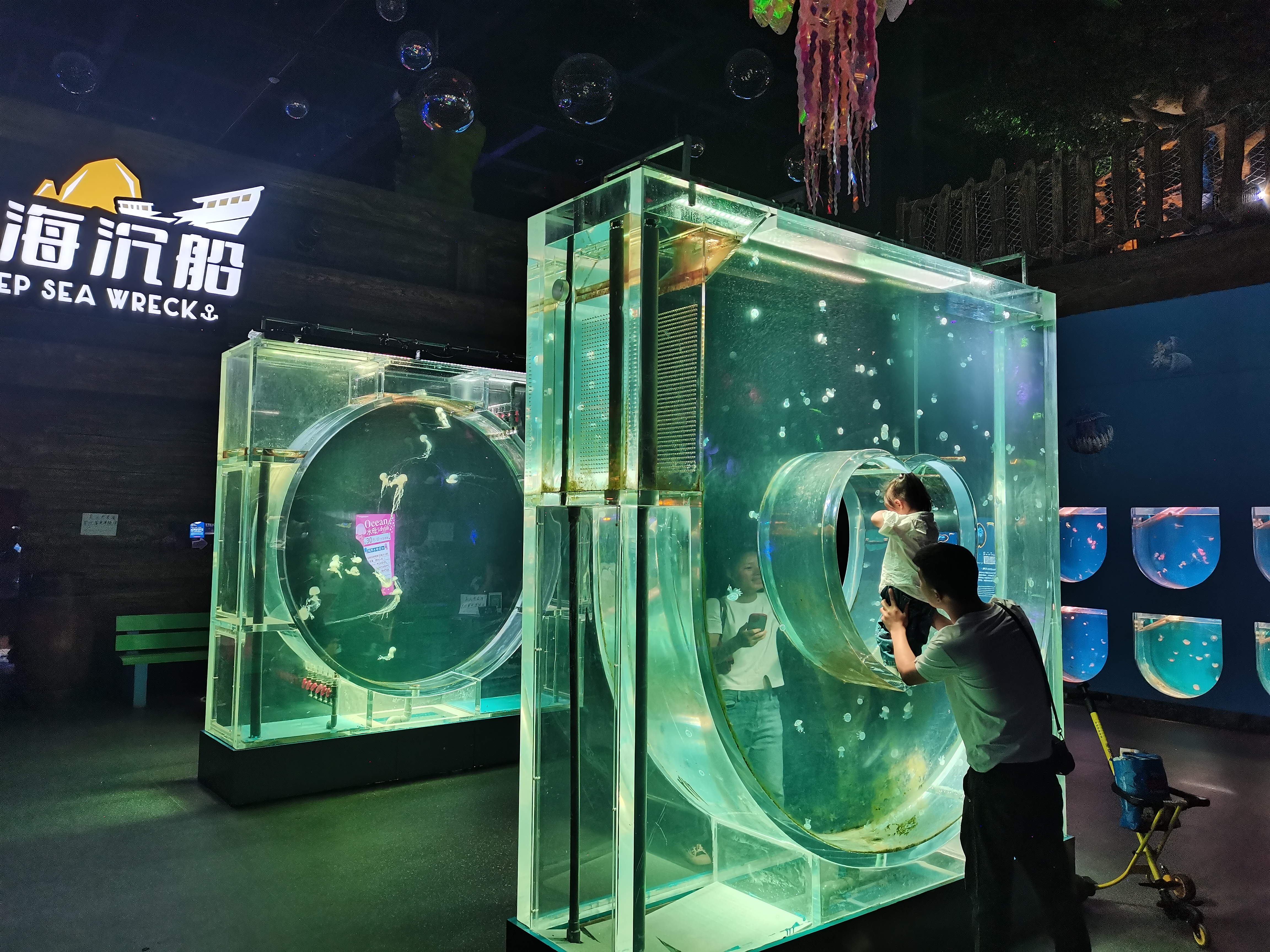 Custom acrylic fish tank - LEYU 