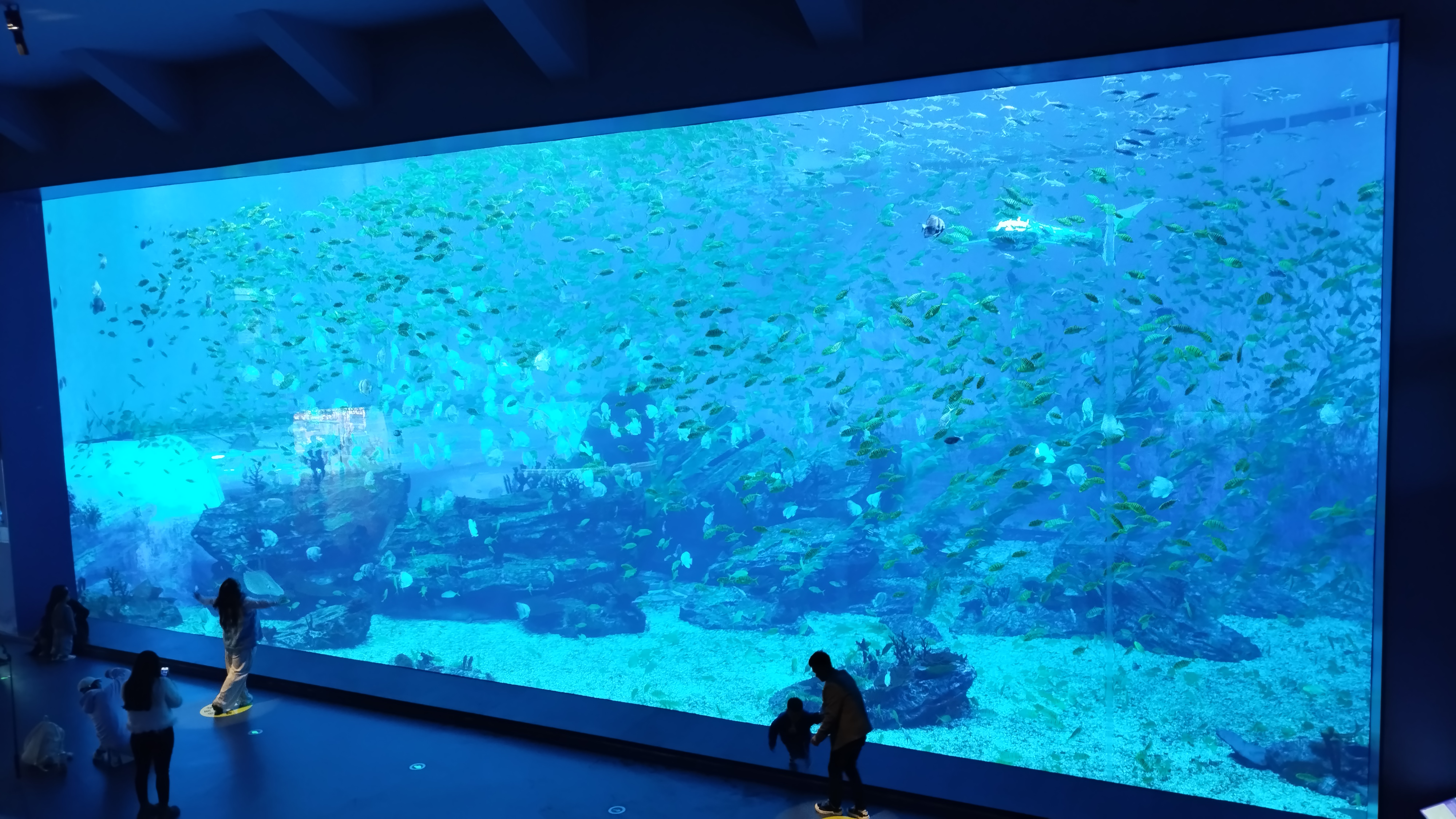 Acrylic Fish Tank Application System Analysis