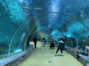 The tunnel aquarium near us is made of Leyu acrylic sheet- Leyu 