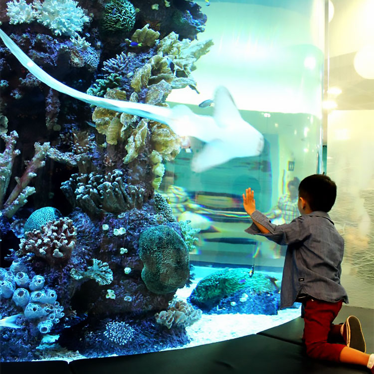 Using Acrylic To Build Aquariums & Fish Tanks by the Leyu factory - Leyu