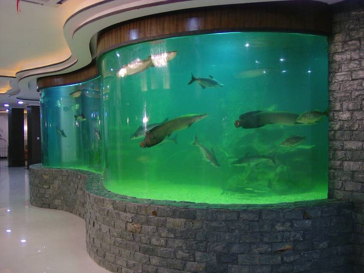 Acrylic custom fish tank - factory