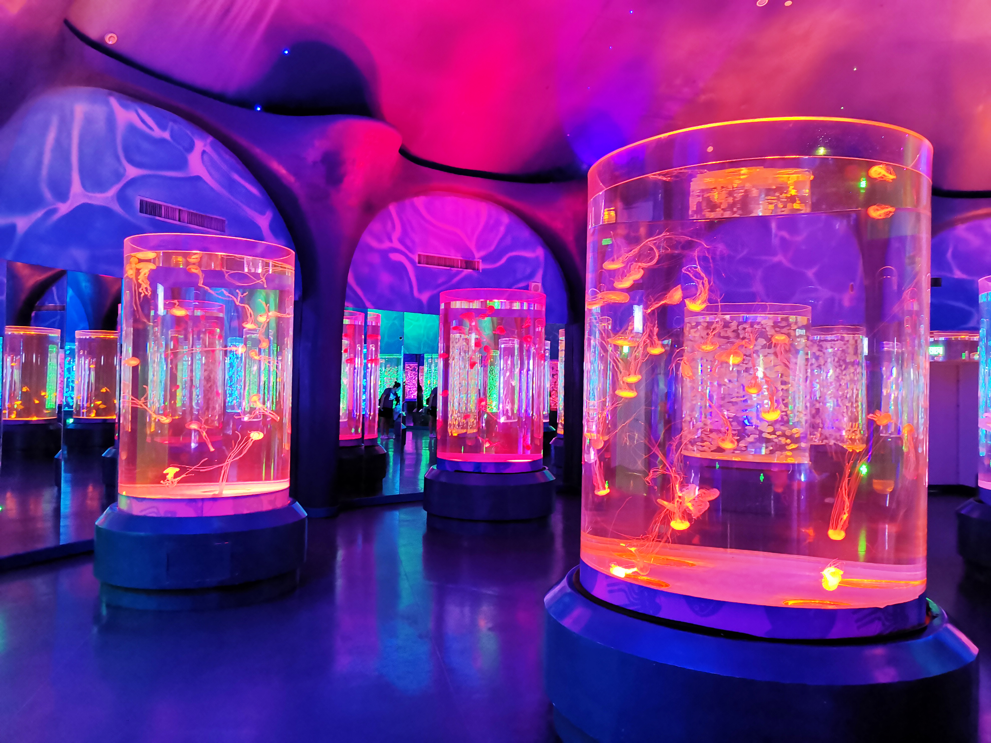 Acrylic jellyfish tank - LEYU