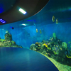 The Chinese factory specializes in custom acrylic windows for oceanarium .- leyu 