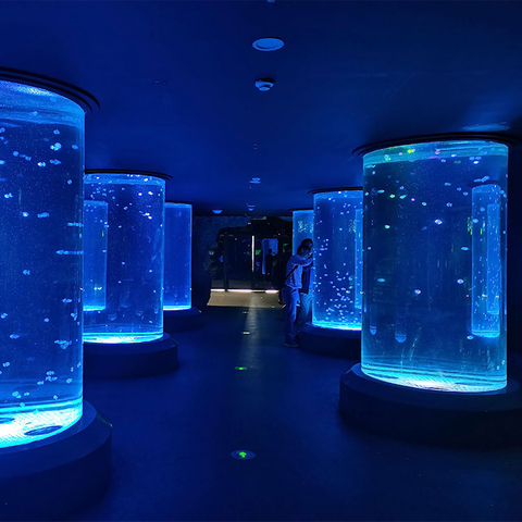 Où acheter l'aquarium cylindrique de méduses - Leyu