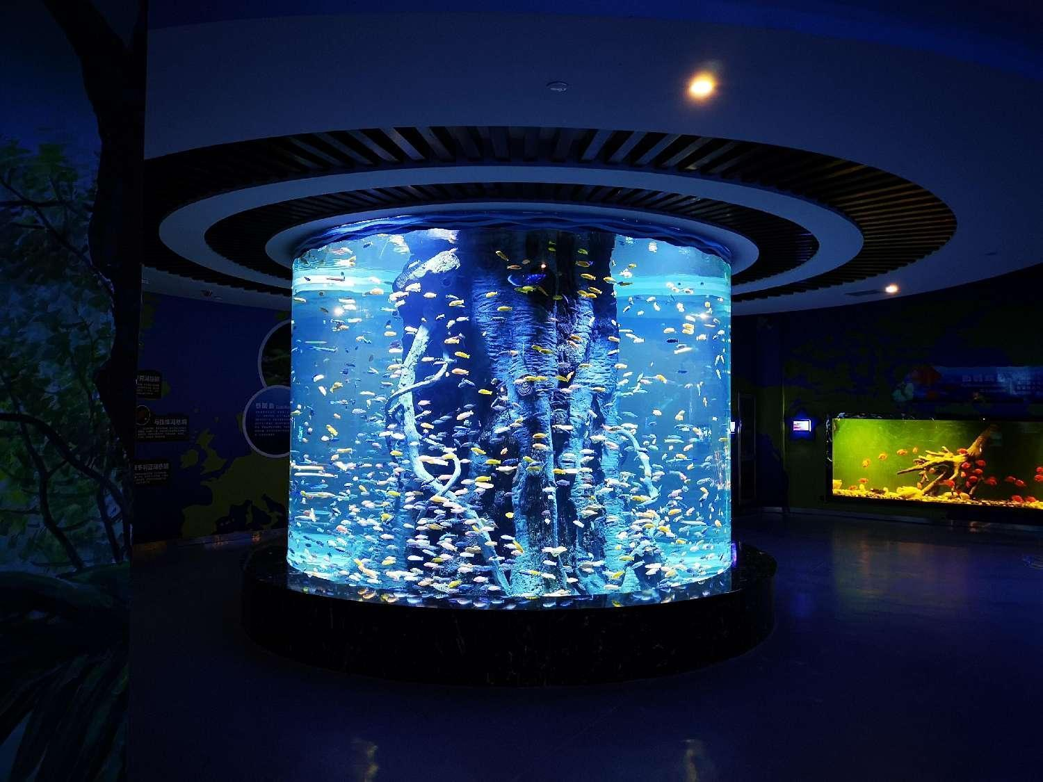 Acrylic cylindrical aquarium - LEYU 