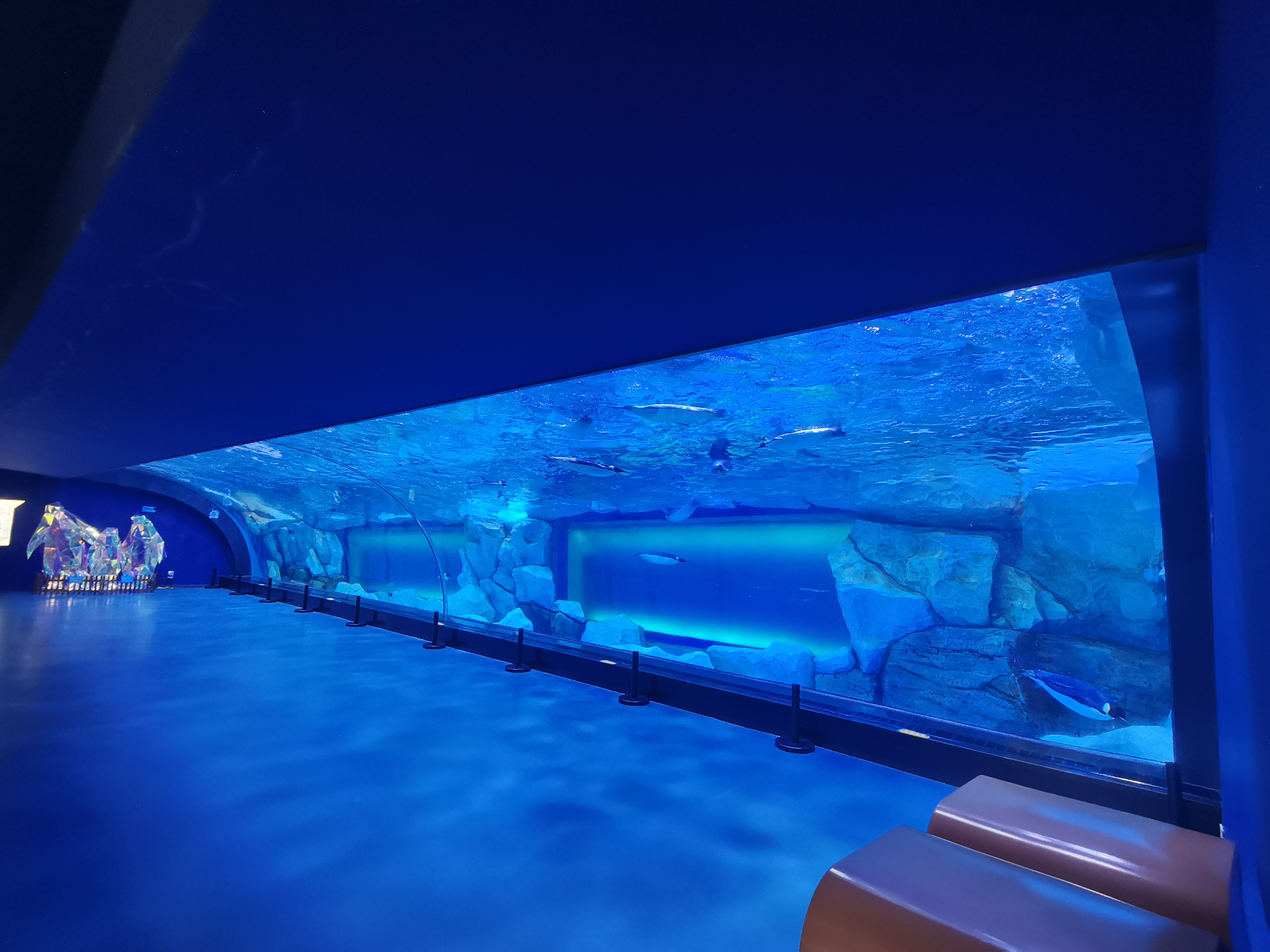 Acrylic window aquarium - LEYU