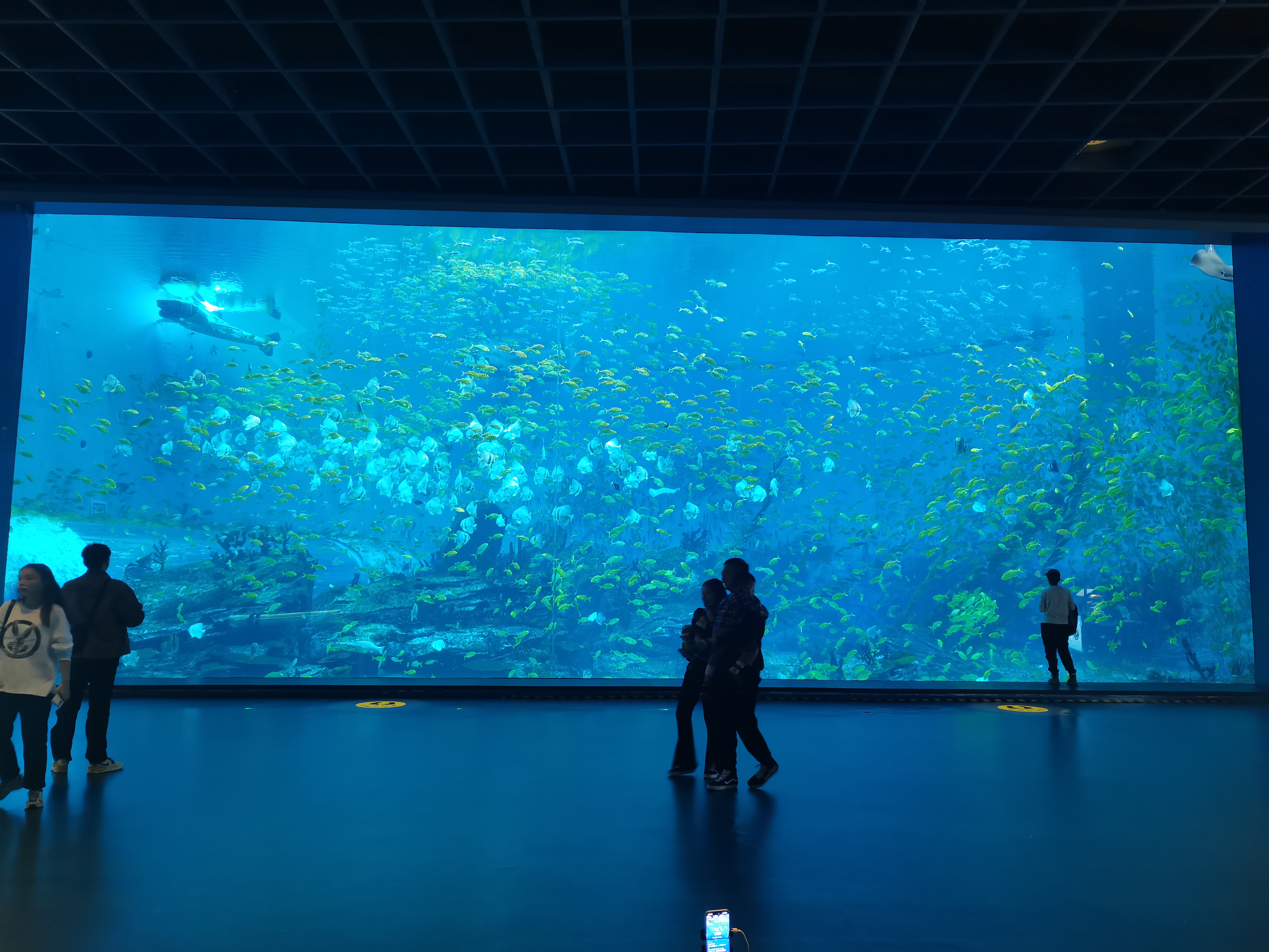 Acrylic window aquarium - LEYU