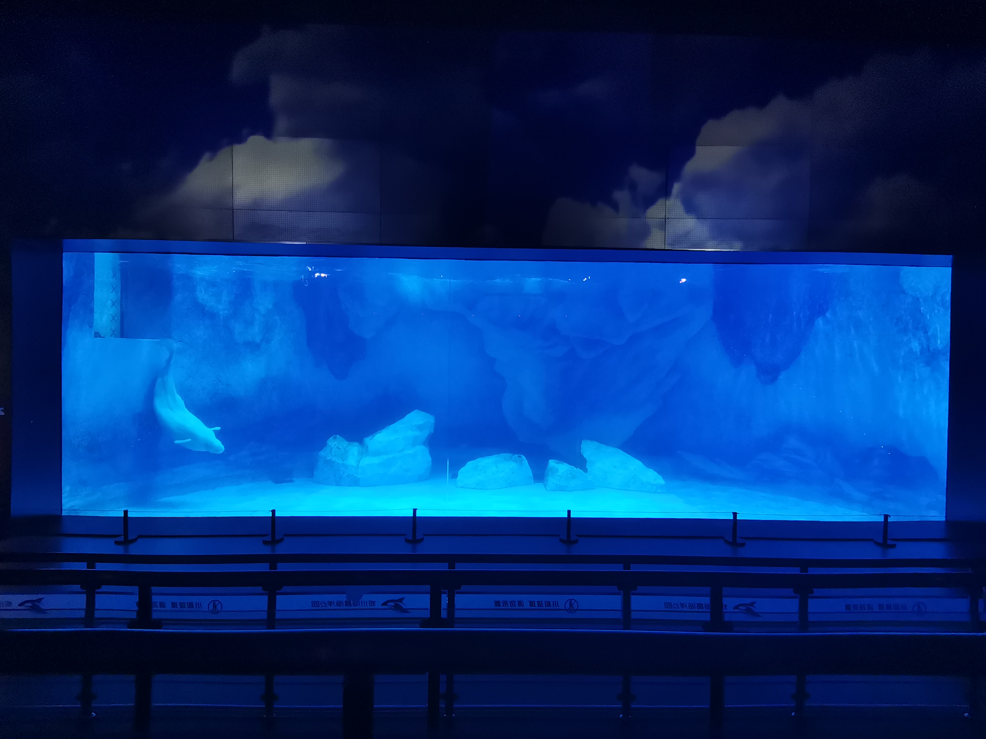 Acquario con finestra in acrilico - LEYU