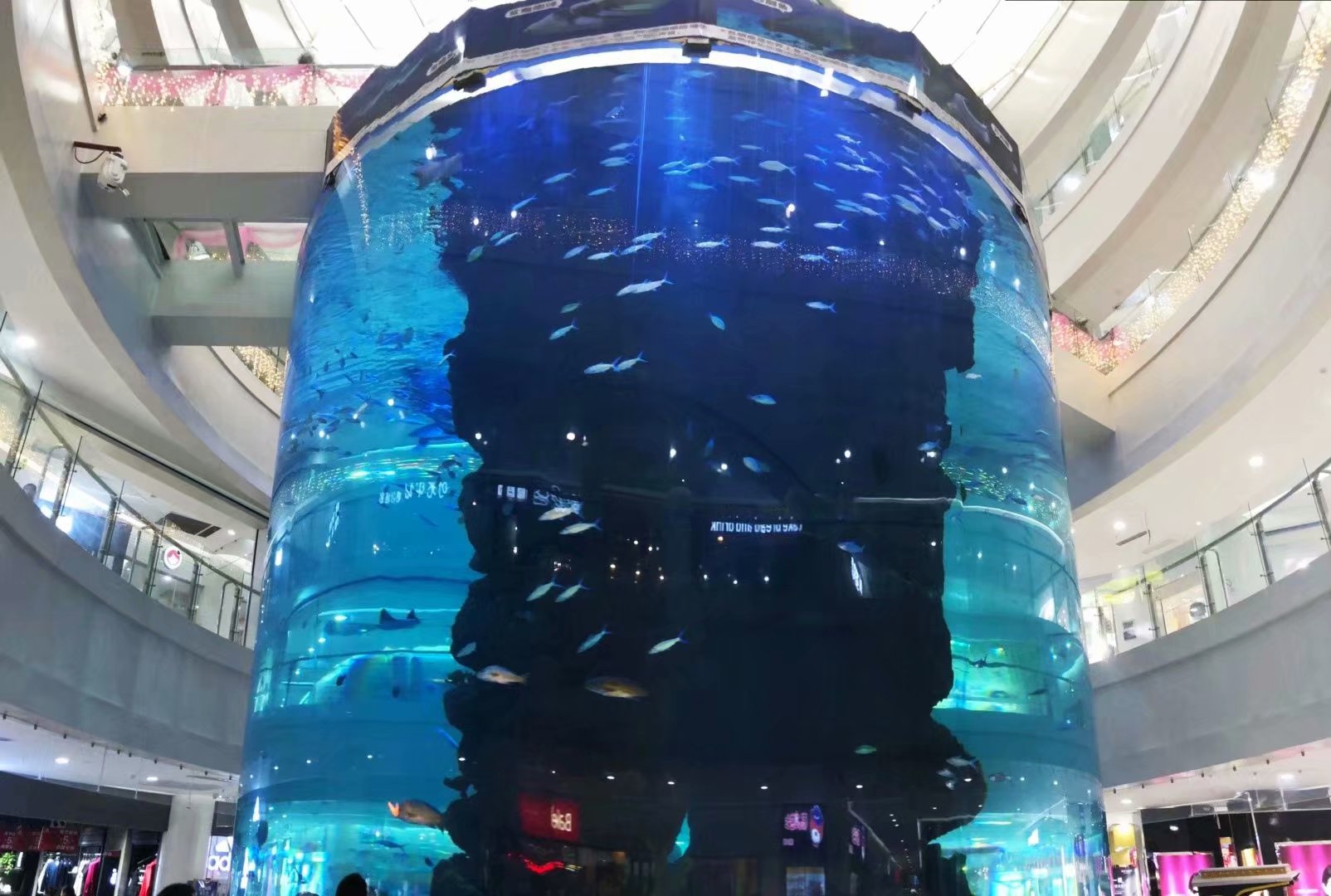Acquario a cilindro acrilico-LEYU