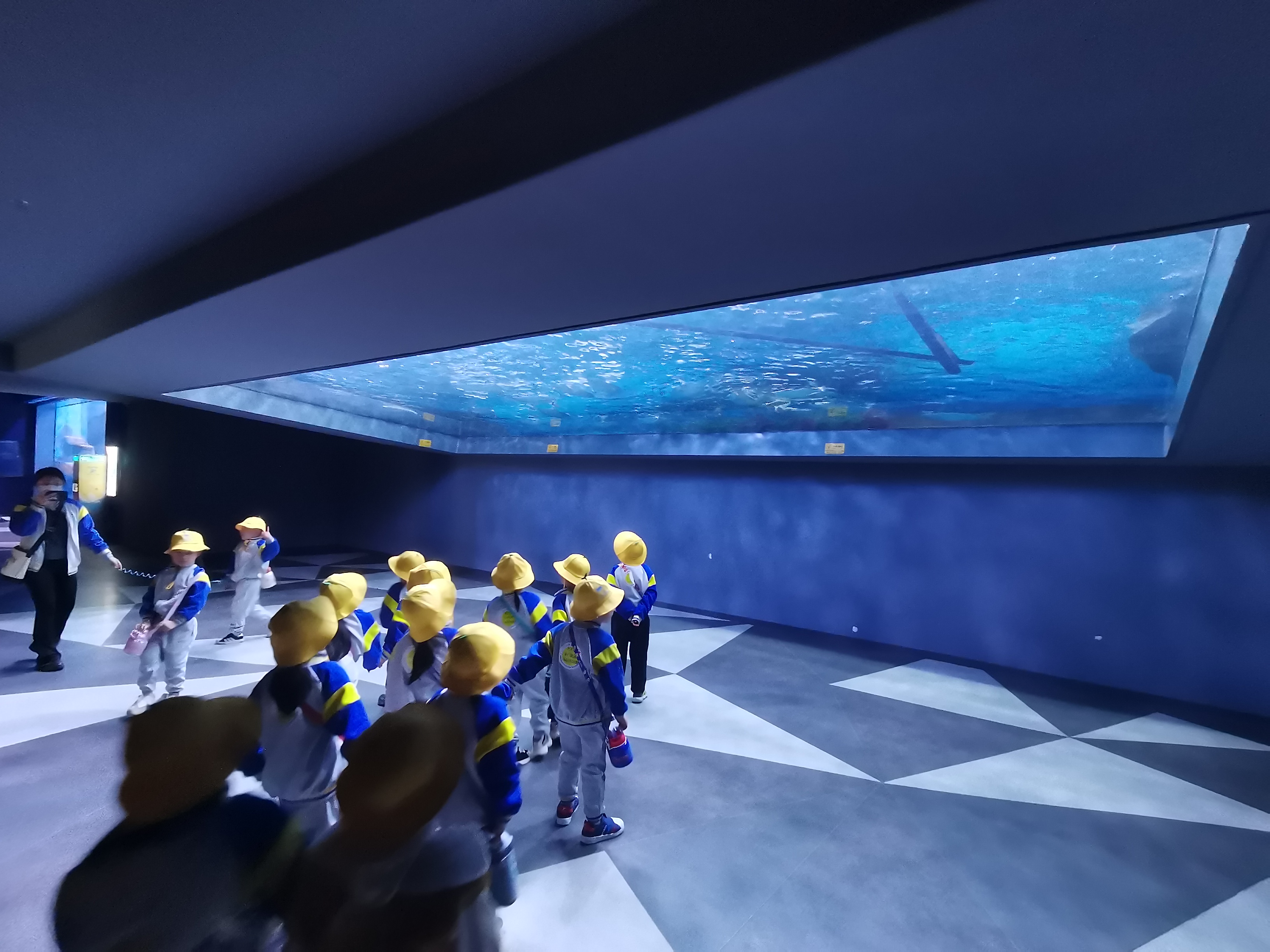 Acrylic window aquarium - LEYU