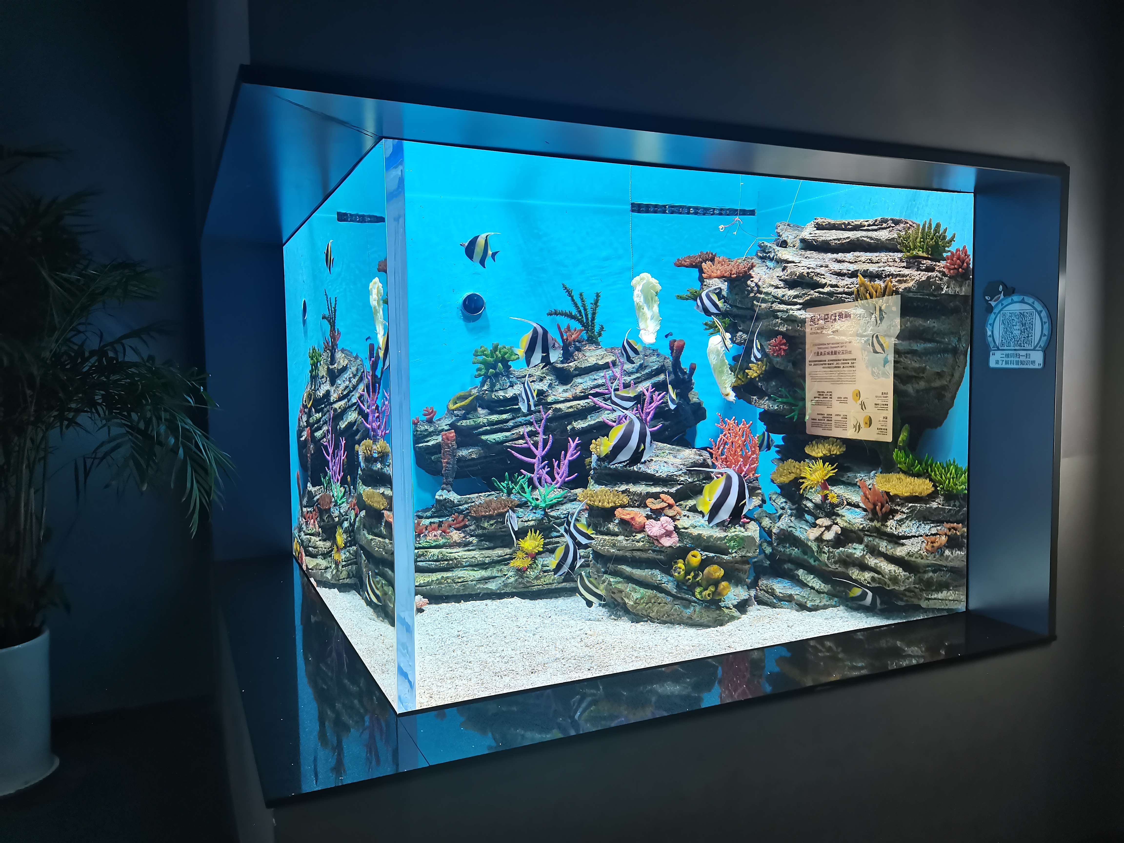 Acrylic fish tank - LEYU