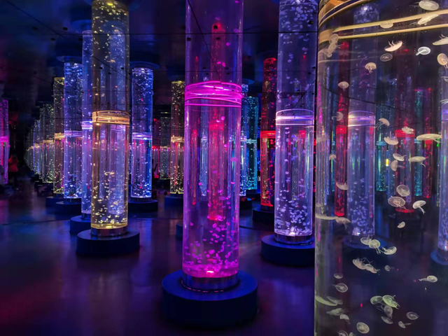Acrylic Jellyfish Tank -LEYU