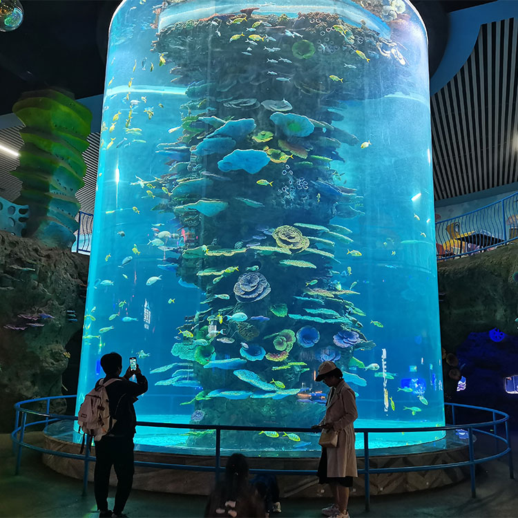 Acrylic Cylinder Aquarium- LEYU