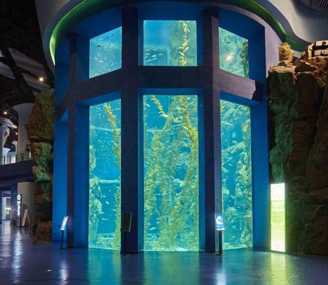 Acrylic aquarium-LEYU
